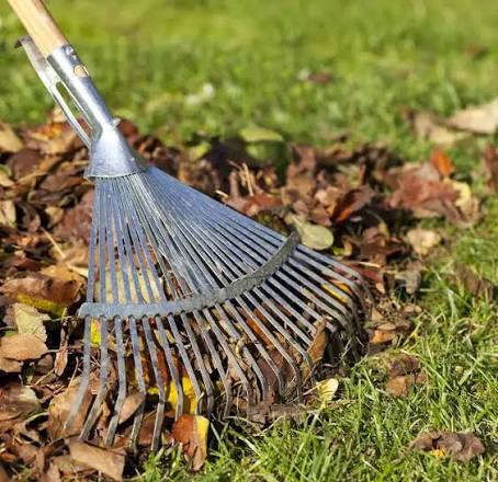 Read more: Saturday - October 17th   9:00 - 10:30 - Mini Work Party